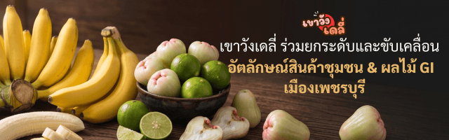 เขาวังเดลี่ ร่วมยกระดับและขับเคลื่อน ผลไม้ GI เพชรบุรี