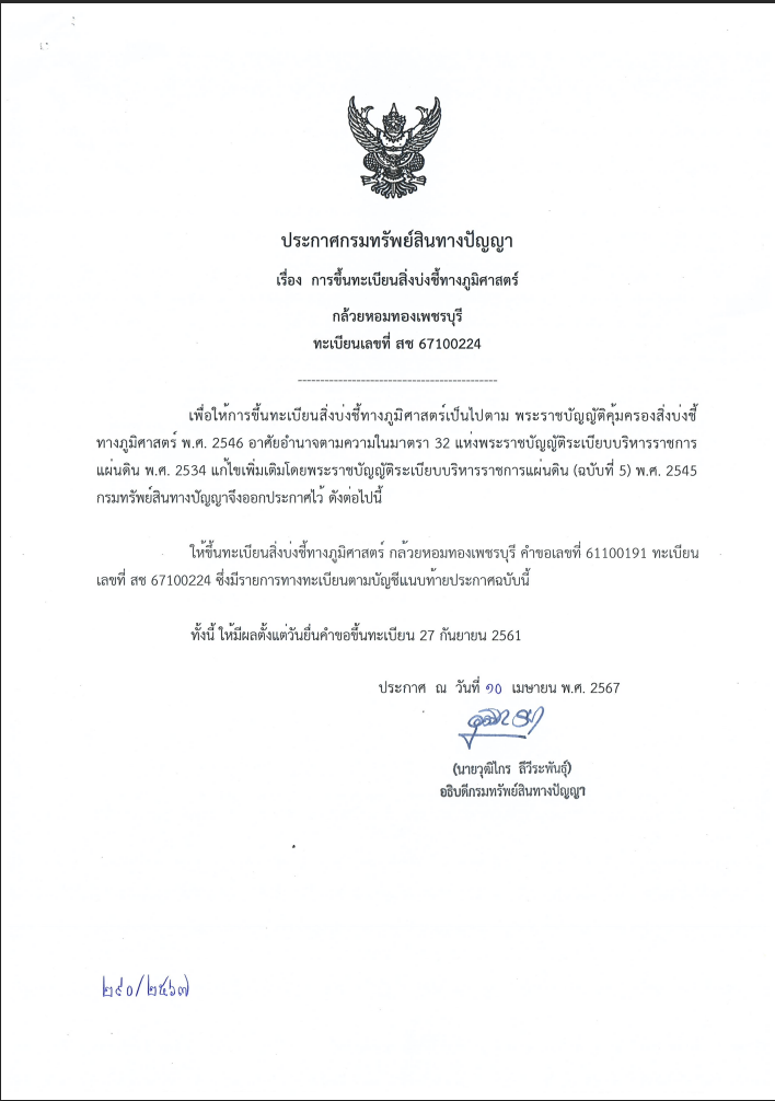 กล้วยหอมทองเพชรบุรี