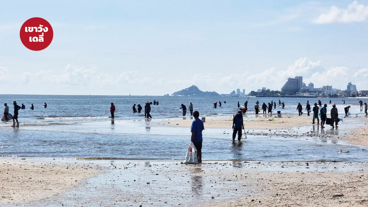 ปรากฏการณ์น้ำเบียด หัวหิน ชาวบ้านจับสัตว์น้ำริมหาด