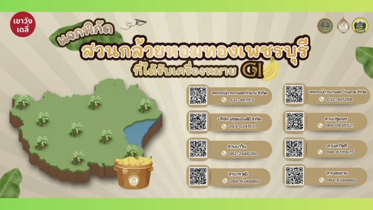 แผนที่พิกัด 8 สวนกล้วยหอมทองเพชรบุรี GI ของแท้