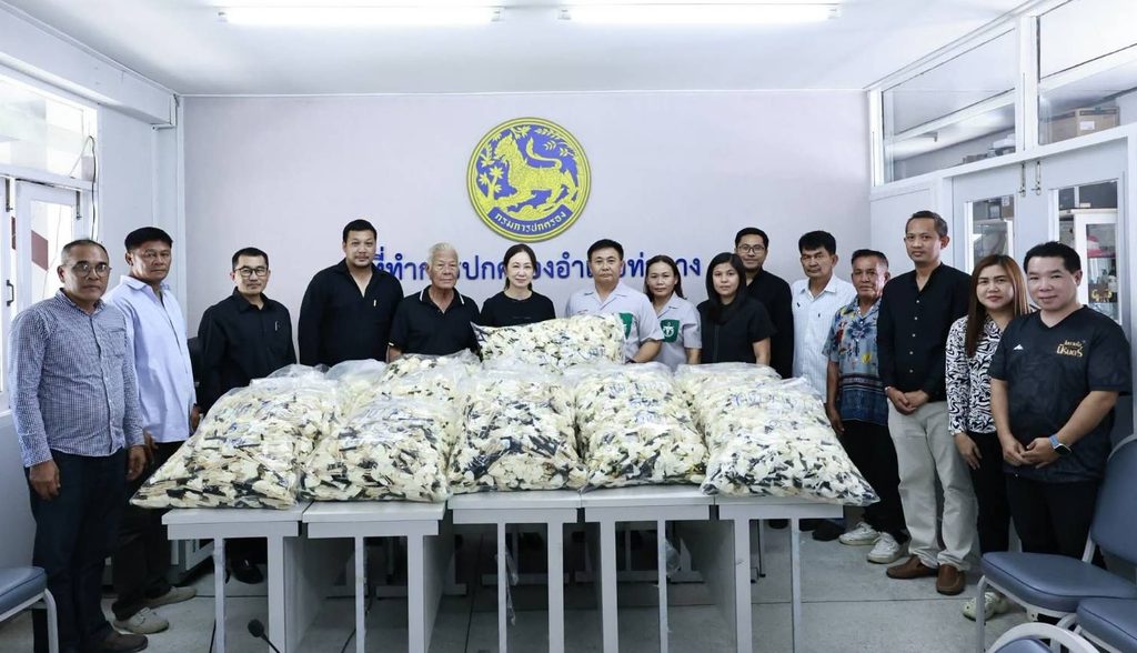 เทศบาลตำบลท่ายางส่งมอบดอกไม้จันทน์ 10,000 ดอก ให้แก่อำเภอท่ายาง ในงานพระราชพิธีถวายพระเพลิงพระบรมศพ พระพันปีหลวง
