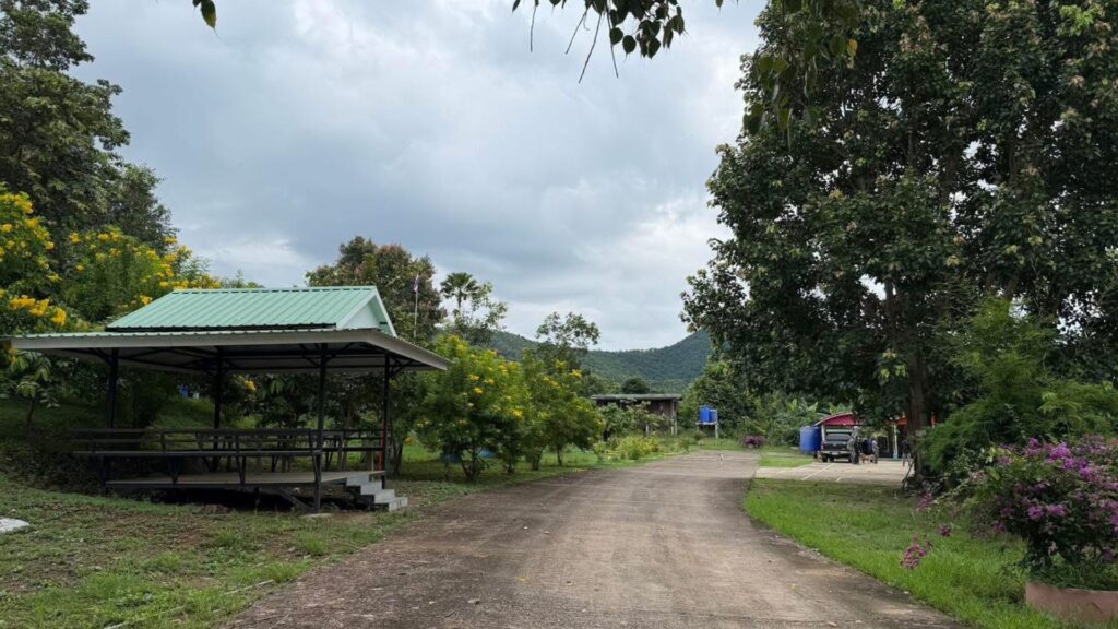 ถนนคอนกรีตตัดผ่านพื้นที่ธรรมชาติและแมกไม้ มีศาลาพักผ่อนหลังคาสีเขียวอยู่ด้านซ้าย