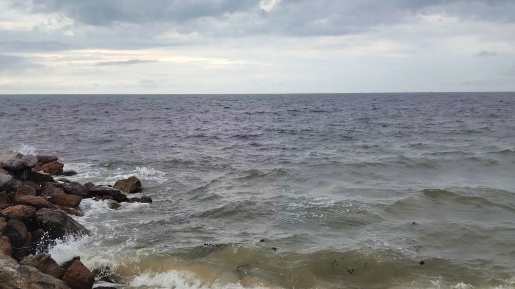 cha-am-red-tide-water-discoloration ปรากฏการณ์ น้ำเบียด ชะอำ-