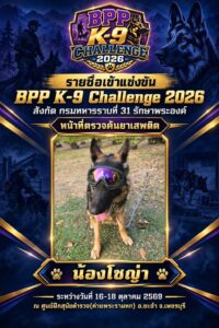 น้องโซญ่า สุนัขทหารสวมแว่นกันลมปรอทรุ้ง ร.31 รอ. แข่งตรวจค้นยาเสพติด